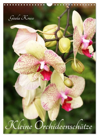 Kleine Orchideenschätze (Wandkalender 2027 DIN A3 hoch), CALVENDO Monatskalender