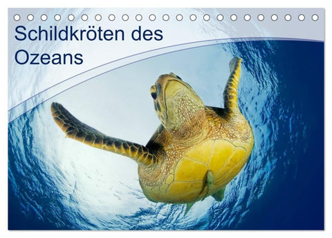 Schildkröten des Ozeans (Tischkalender 2027 DIN A5 quer), CALVENDO Monatskalender