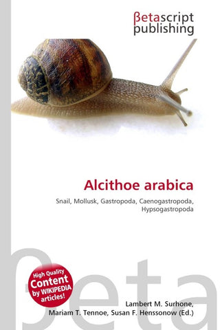 Alcithoe arabica