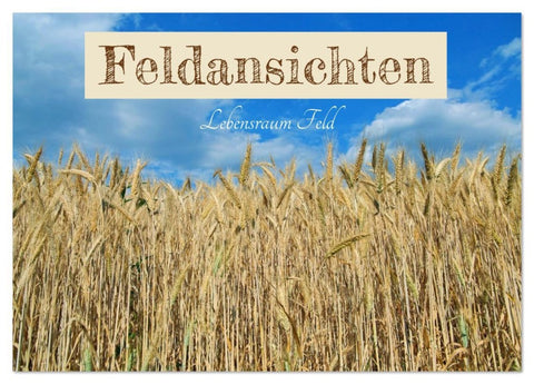 Feldansichten (Tischkalender 2026 DIN A5 quer), CALVENDO Monatskalender