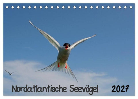 Nordatlantische Seevögel (Tischkalender 2027 DIN A5 quer), CALVENDO Monatskalender