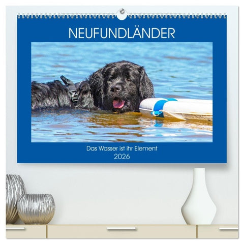 Neufundländer - Das Wasser ist ihr Element (hochwertiger Premium Wandkalender 2026 DIN A2 quer), Kunstdruck in Hochglanz