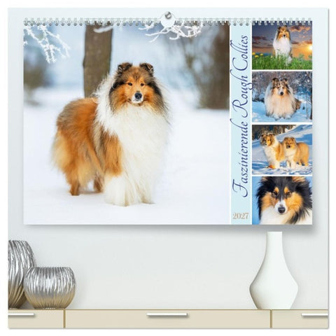 Faszinierende Rough Collies (hochwertiger Premium Wandkalender 2027 DIN A2 quer), Kunstdruck in Hochglanz