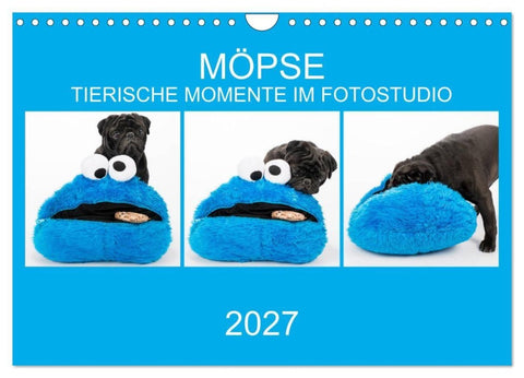 MÖPSE - tierische Momente im Fotostudio (Wandkalender 2027 DIN A4 quer), CALVENDO Monatskalender