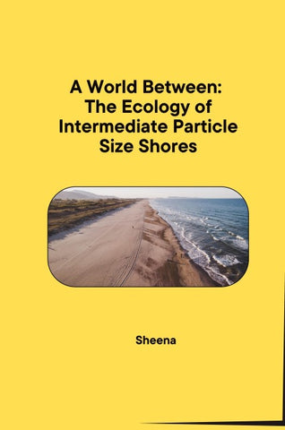 A World Between: The Ecology of Intermediate Particle Size Shores