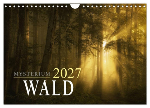 Mysterium Wald (Wandkalender 2027 DIN A4 quer), CALVENDO Monatskalender