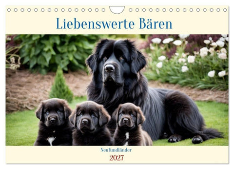 Neufundländer - Liebenswerte Bären (Wandkalender 2027 DIN A4 quer), CALVENDO Monatskalender
