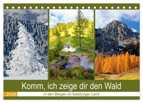 Komm, ich zeige dir den Wald (Tischkalender 2026 DIN A5 quer), CALVENDO Monatskalender