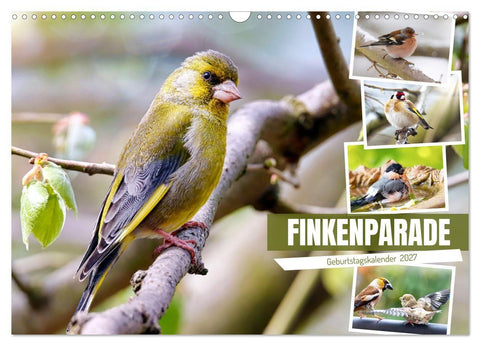 Finkenparade (Wandkalender 2027 DIN A3 quer), CALVENDO Monatskalender
