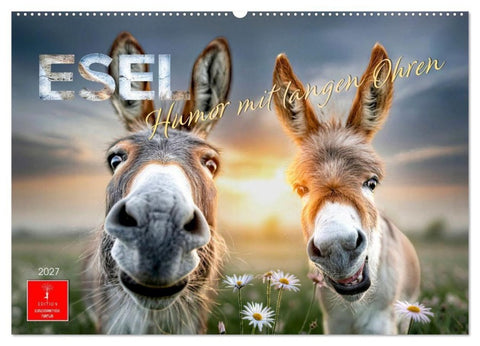 Esel - Humor mit langen Ohren (Wandkalender 2027 DIN A2 quer), CALVENDO Monatskalender