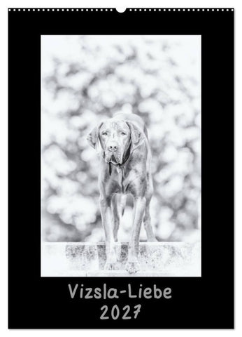 Vizsla-Liebe (Wandkalender 2027 DIN A2 hoch), CALVENDO Monatskalender