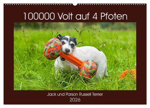 100000 Volt auf vier Pfoten - Jack und Parson Russell Terrier (Wandkalender 2026 DIN A2 quer), CALVENDO Monatskalender