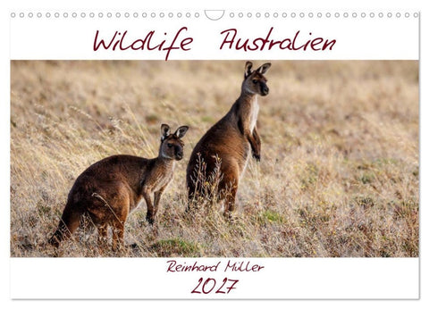 Wildlife Australien (Wandkalender 2027 DIN A3 quer), CALVENDO Monatskalender