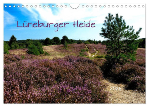 Lüneburger Heide (Wandkalender 2026 DIN A4 quer), CALVENDO Monatskalender