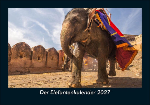 Der Elefantenkalender 2027 Fotokalender DIN A5
