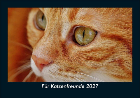 Für Katzenfreunde 2027 Fotokalender DIN A5
