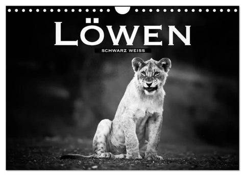 Löwen schwarz weiß (Wandkalender 2027 DIN A4 quer), CALVENDO Monatskalender
