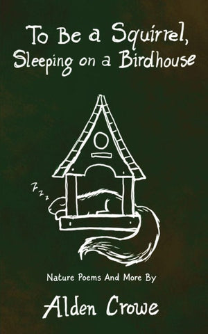 To Be A Squirrel, Sleeping On A Birdhouse