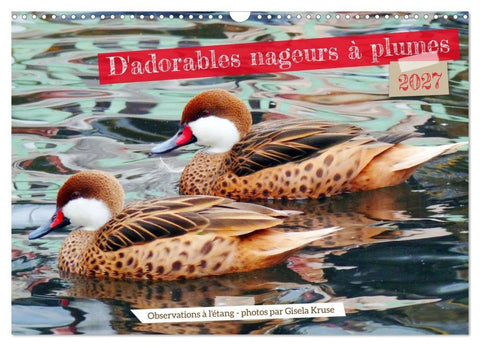D'adorables nageurs à plumes (Calendrier mural 2027 DIN A3 vertical), CALVENDO calendrier mensuel