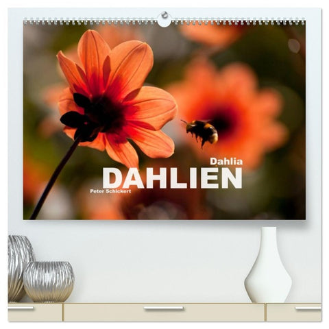 Dahlia - Dahlien (hochwertiger Premium Wandkalender 2026 DIN A2 quer), Kunstdruck in Hochglanz