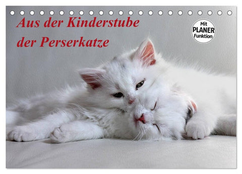Aus der Kinderstube der Perserkatze (Tischkalender 2026 DIN A5 quer), CALVENDO Monatskalender