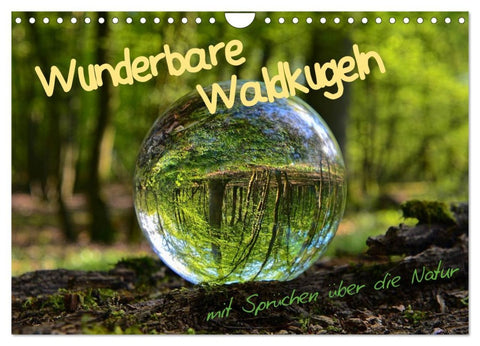 Wunderbare Waldkugeln (Wandkalender 2026 DIN A4 quer), CALVENDO Monatskalender