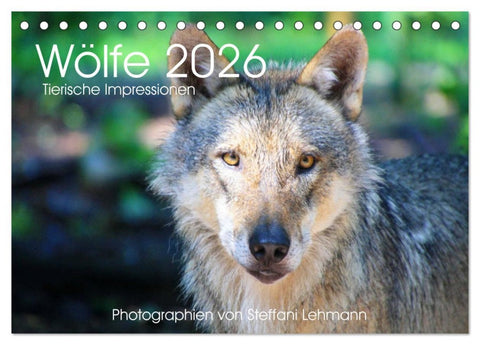 Wölfe 2026. Tierische Impressionen (Tischkalender 2026 DIN A5 quer), CALVENDO Monatskalender