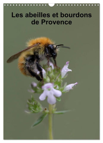 Les abeilles et bourdons de Provence (Calendrier mural 2027 DIN A3 horizontal), CALVENDO calendrier mensuel