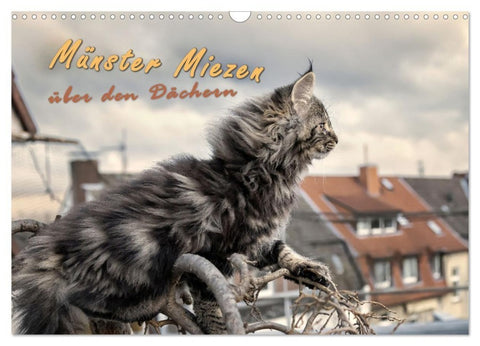 Münster Miezen - über den Dächern (Wandkalender 2027 DIN A3 quer), CALVENDO Monatskalender