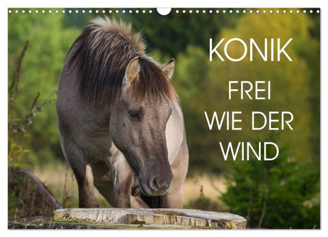 Konik - Frei geboren (Wandkalender 2027 DIN A3 quer), CALVENDO Monatskalender