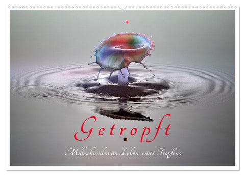 Getropft (Wandkalender 2027 DIN A2 quer), CALVENDO Monatskalender