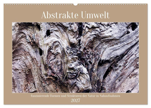 Abstrakte Umwelt (Wandkalender 2027 DIN A2 quer), CALVENDO Monatskalender