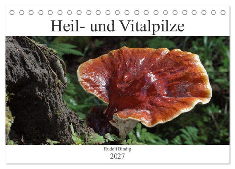 Heil- und Vitalpilze (Tischkalender 2027 DIN A5 quer), CALVENDO Monatskalender