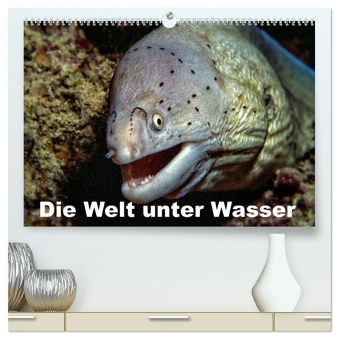 Die Welt unter Wasser (hochwertiger Premium Wandkalender 2026 DIN A2 quer), Kunstdruck in Hochglanz