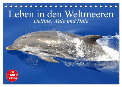 Leben in den Weltmeeren. Delfine, Wale und Haie (Tischkalender 2026 DIN A5 quer), CALVENDO Monatskalender