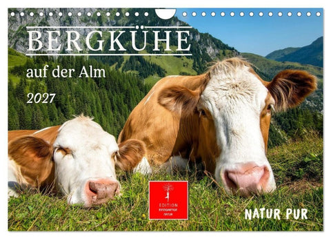 Bergkühe auf der Alm - Natur pur (Wandkalender 2027 DIN A4 quer), CALVENDO Monatskalender