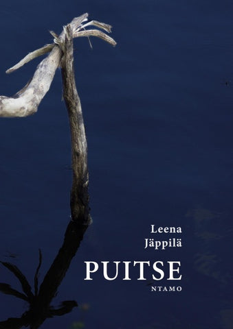 Puitse