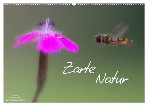Zarte Natur 2027 (Wandkalender 2027 DIN A2 quer), CALVENDO Monatskalender
