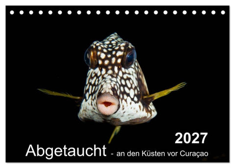 Abgetaucht - an den Küsten vor Curaçao (Tischkalender 2027 DIN A5 quer), CALVENDO Monatskalender