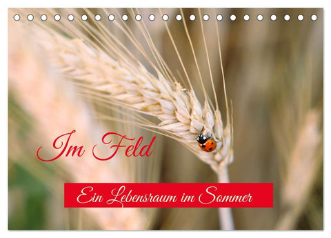 Im Feld (Tischkalender 2027 DIN A5 quer), CALVENDO Monatskalender