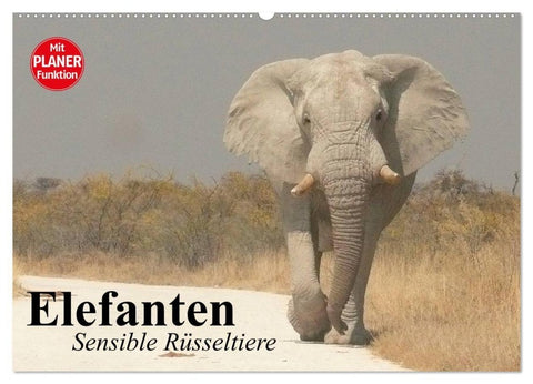 Elefanten. Sensible Rüsseltiere (Wandkalender 2027 DIN A2 quer), CALVENDO Monatskalender