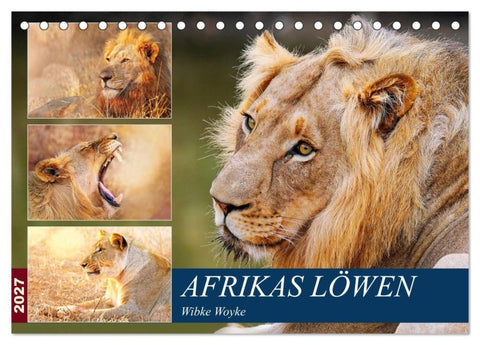 Afrikas Löwen 2027 (Tischkalender 2027 DIN A5 quer), CALVENDO Monatskalender