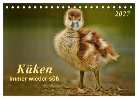 Küken - immer wieder süß (Tischkalender 2027 DIN A5 quer), CALVENDO Monatskalender
