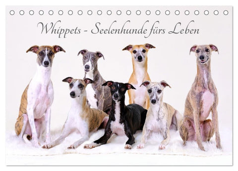 Whippets - Seelenhunde fürs Leben (Tischkalender 2027 DIN A5 quer), CALVENDO Monatskalender