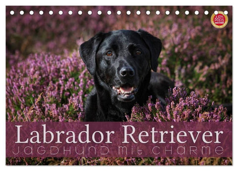 Labrador Retriever - Jagdhund mit Charme (Tischkalender 2027 DIN A5 quer), CALVENDO Monatskalender