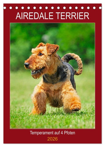 Airedale Terrier - Temperament auf 4 Pfoten (Tischkalender 2026 DIN A5 hoch), CALVENDO Monatskalender