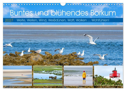 Buntes und blühendes Borkum (Wandkalender 2027 DIN A3 quer), CALVENDO Monatskalender