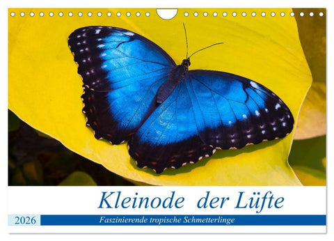 Kleinode der Lüfte - Faszinierende tropische Schmetterlinge (Wandkalender 2026 DIN A4 quer), CALVENDO Monatskalender