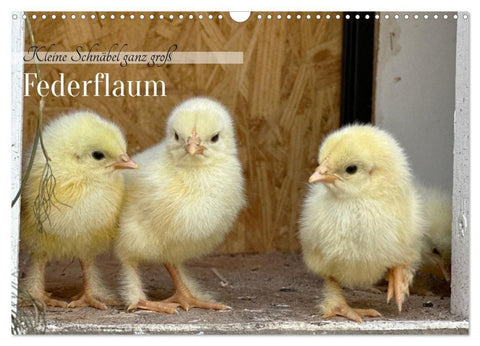 Federflaum - Kleine Schnäbel ganz groß (Wandkalender 2027 DIN A3 quer), CALVENDO Monatskalender