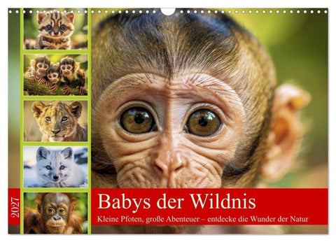 Babys der Wildnis (Wandkalender 2027 DIN A3 quer), CALVENDO Monatskalender